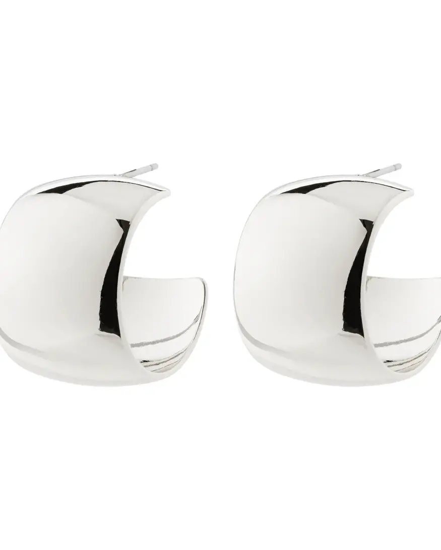 Pilgrim Talulla Earrings