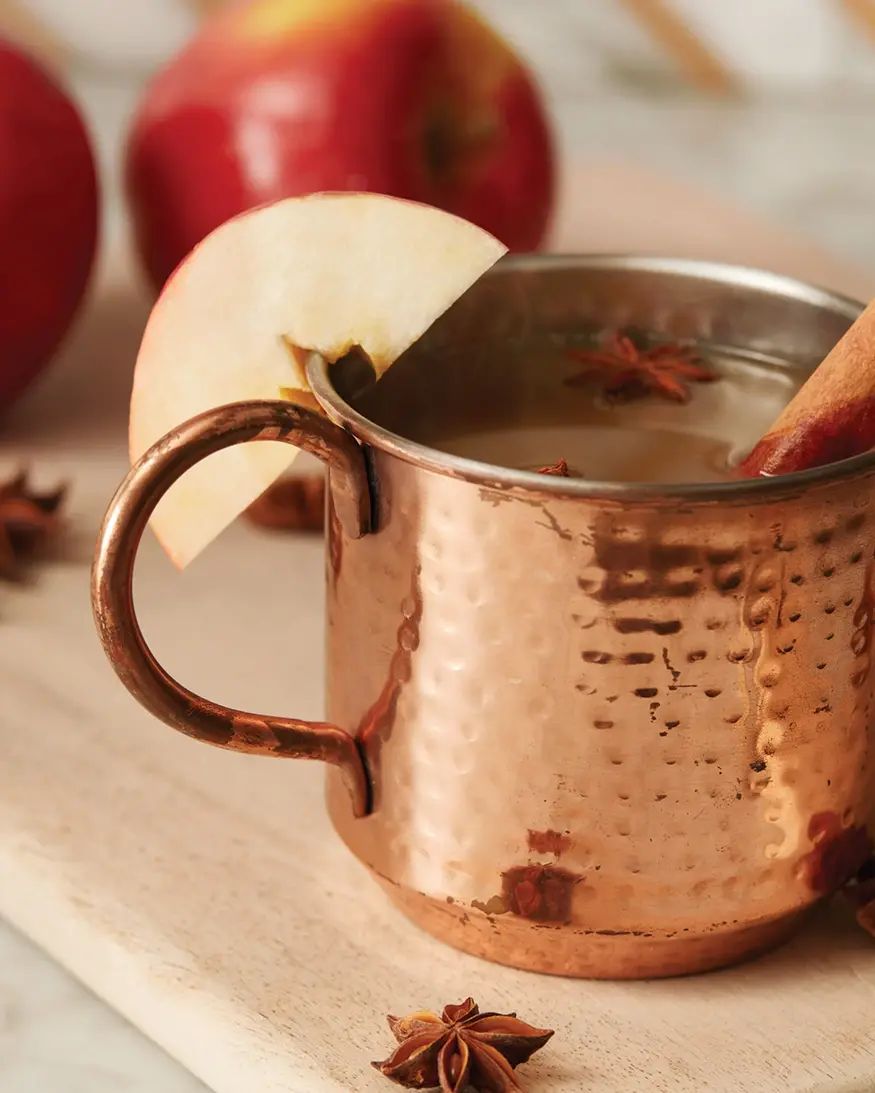 Thymes Simmered Cider Copper Mug