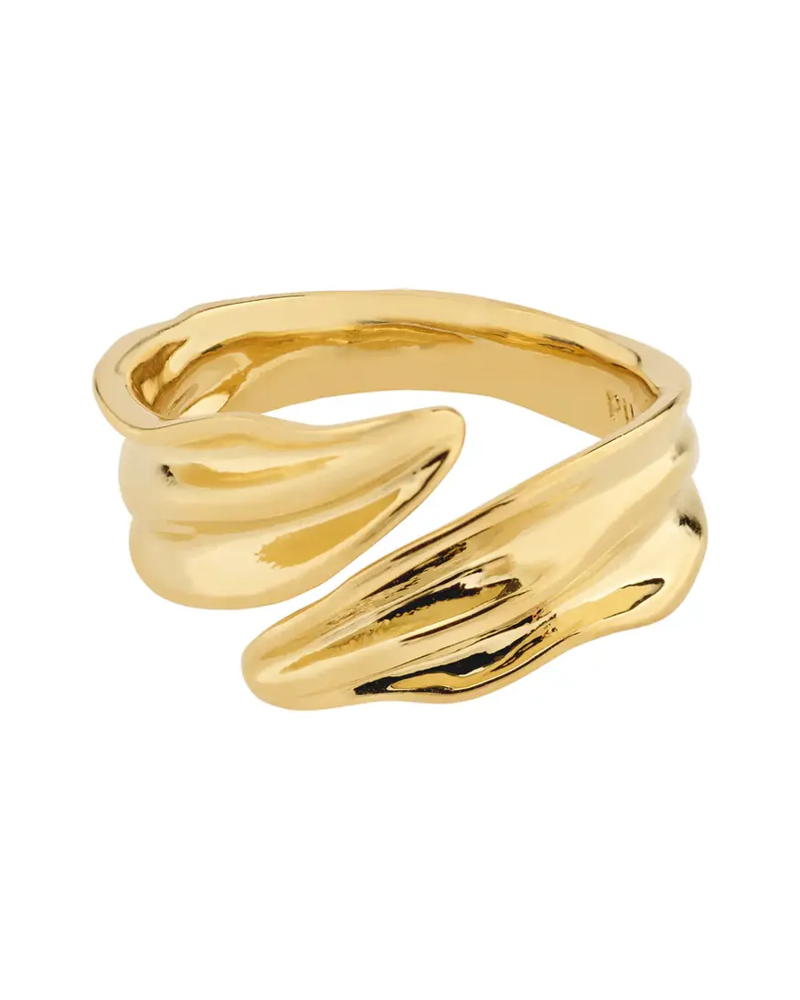Pilgrim Elissa Ring