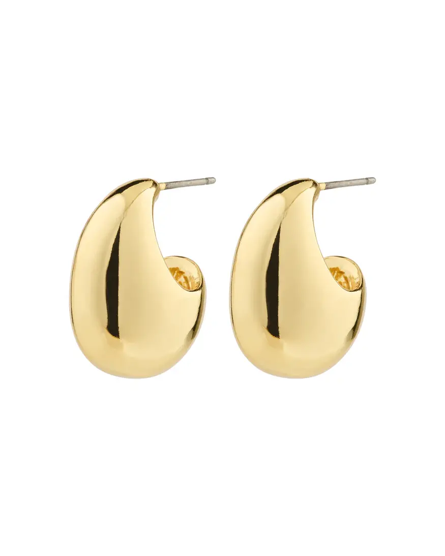 Pilgrim Intent Earrings