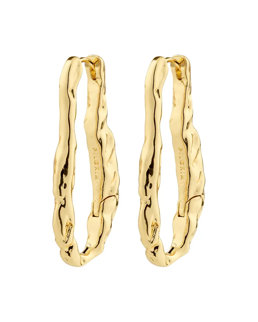 Pilgrim Believe Earrings