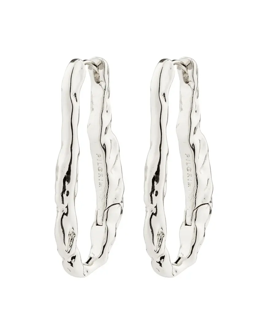 Pilgrim Believe Earrings
