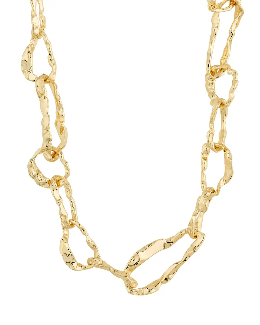 Pilgrim Believe Chain Necklace