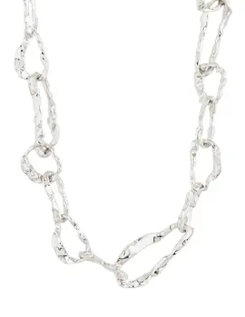 Pilgrim Believe Chain Necklace