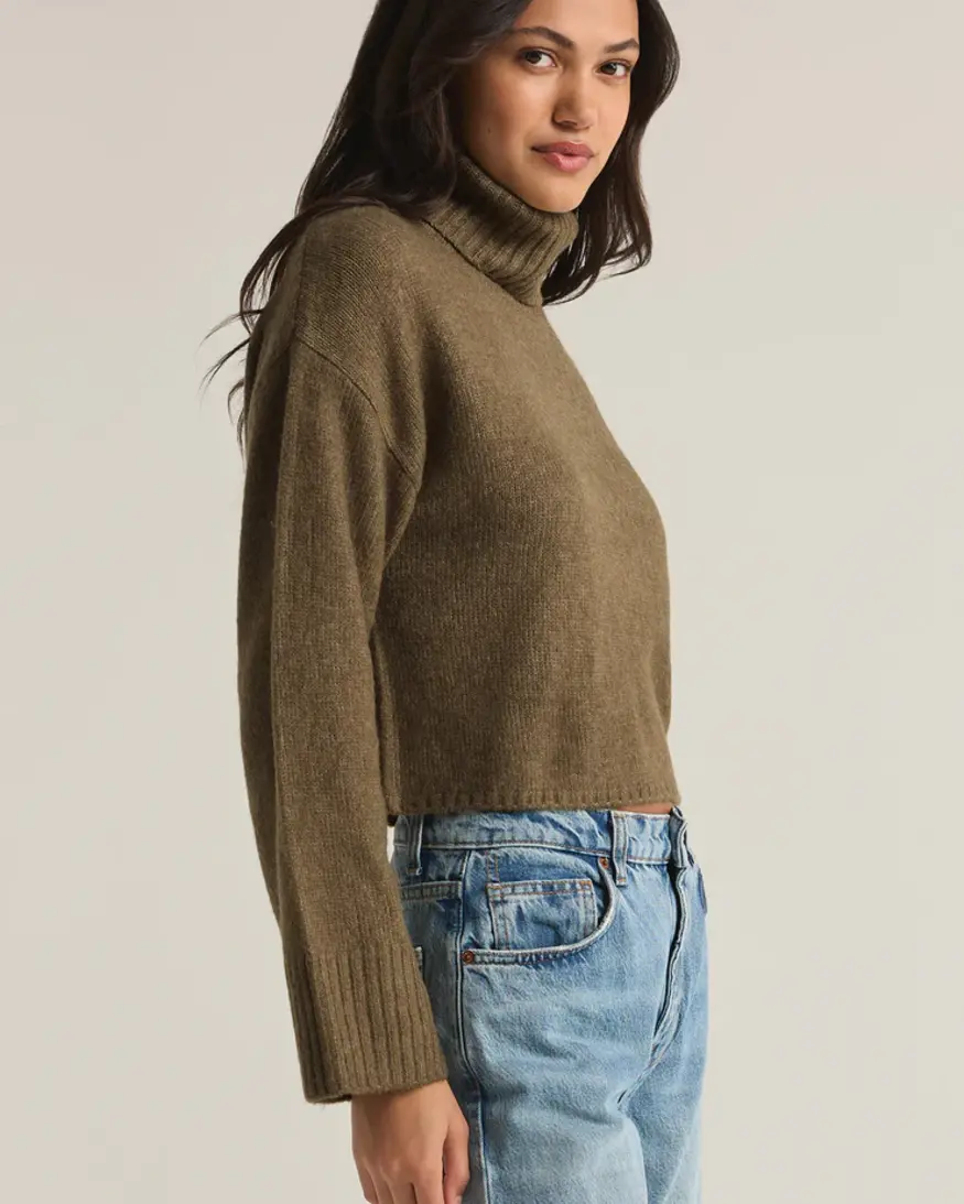 Z-Supply Ursa Turtleneck Sweater