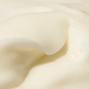 Midnight Paloma Fresh Mint & Vanilla Body Lotion
