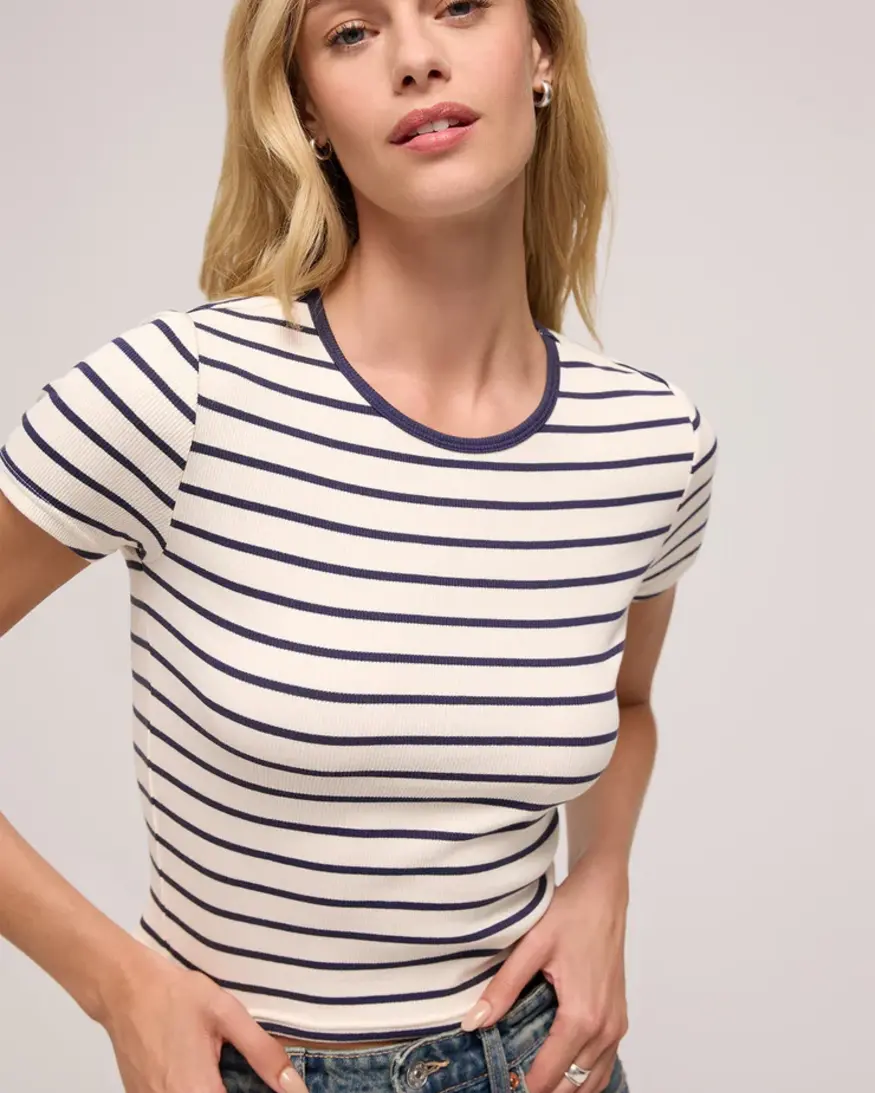 Z-Supply Saxton Striped Tee