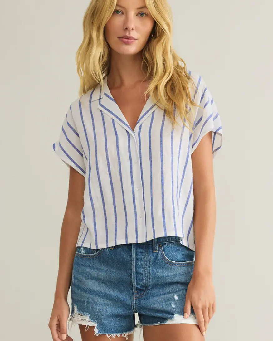 Z-Supply Parallel Stripe Button Down
