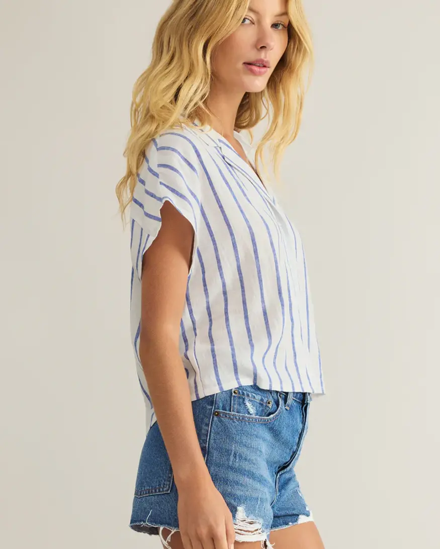 Z-Supply Parallel Stripe Button Down