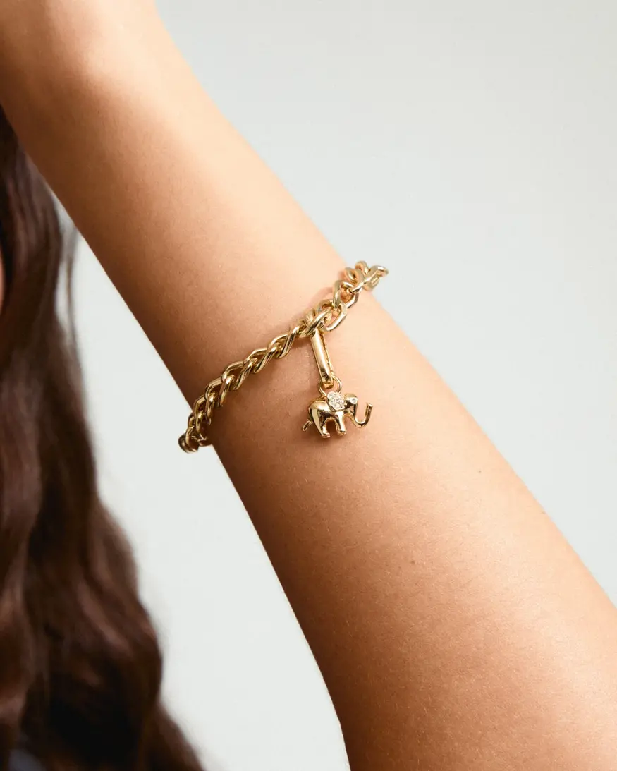 Pilgrim Elephant Charm