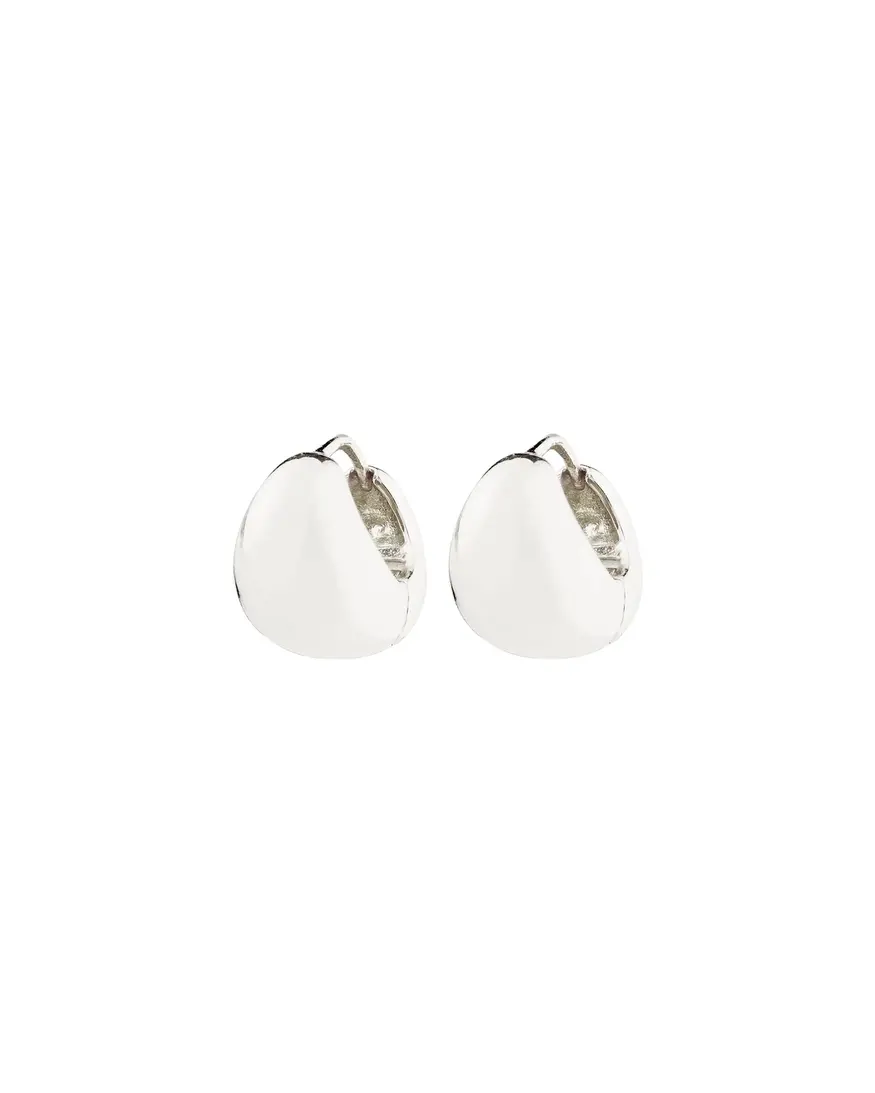 Pilgrim Jua Earrings