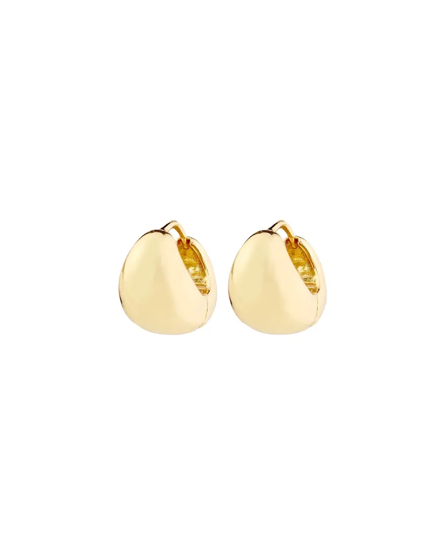 Pilgrim Jua Earrings