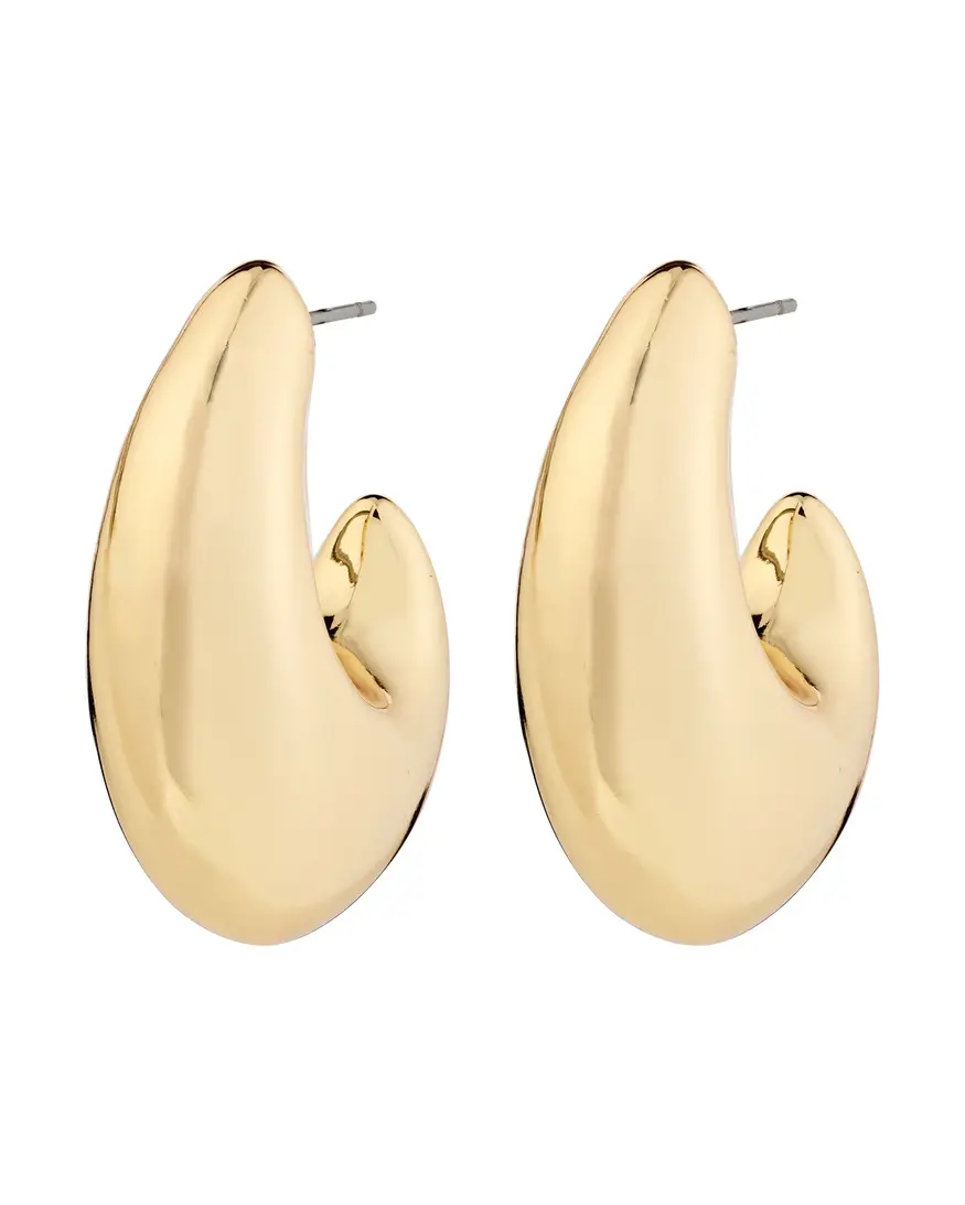 Pilgrim Rory Earrings