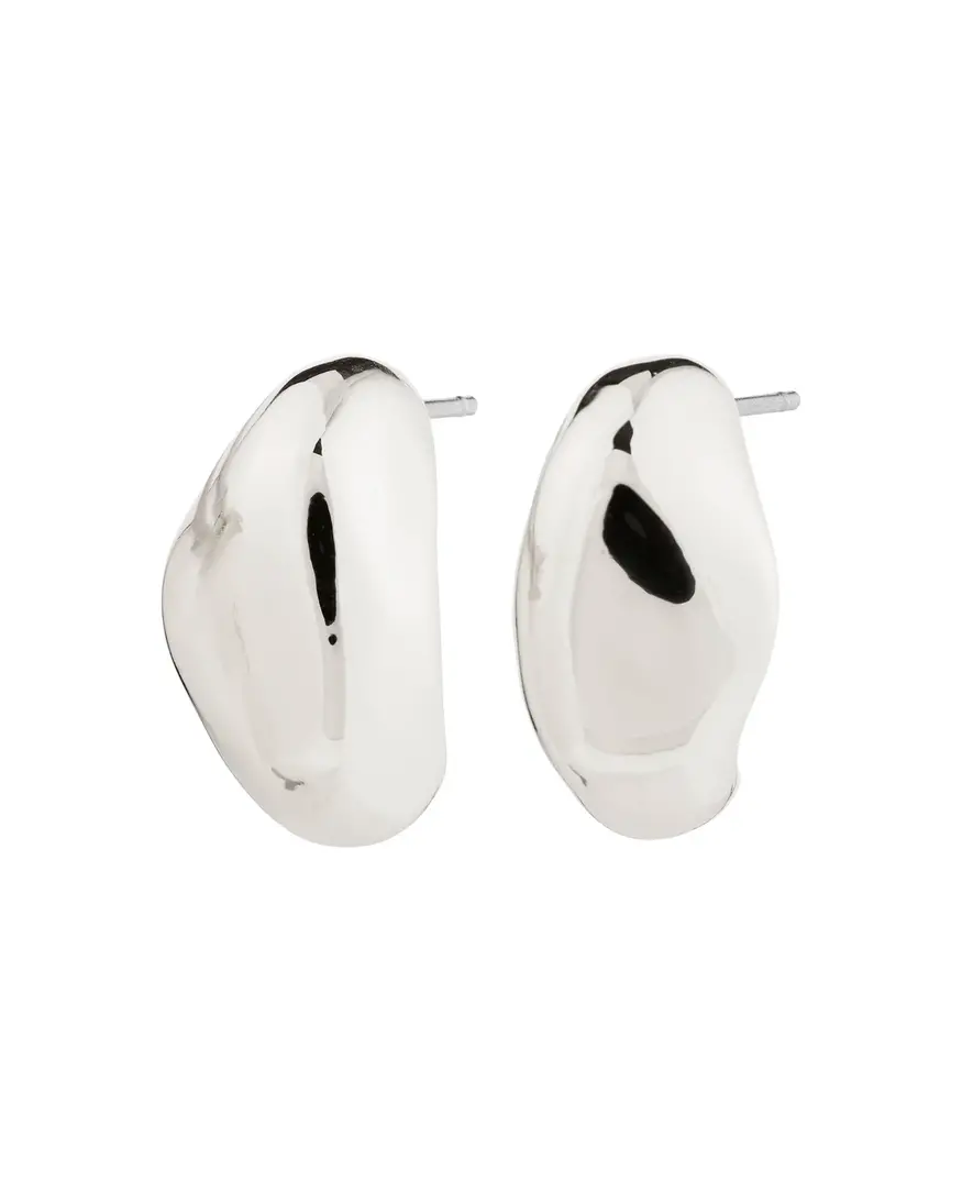 Pilgrim Dune Earrings (2)
