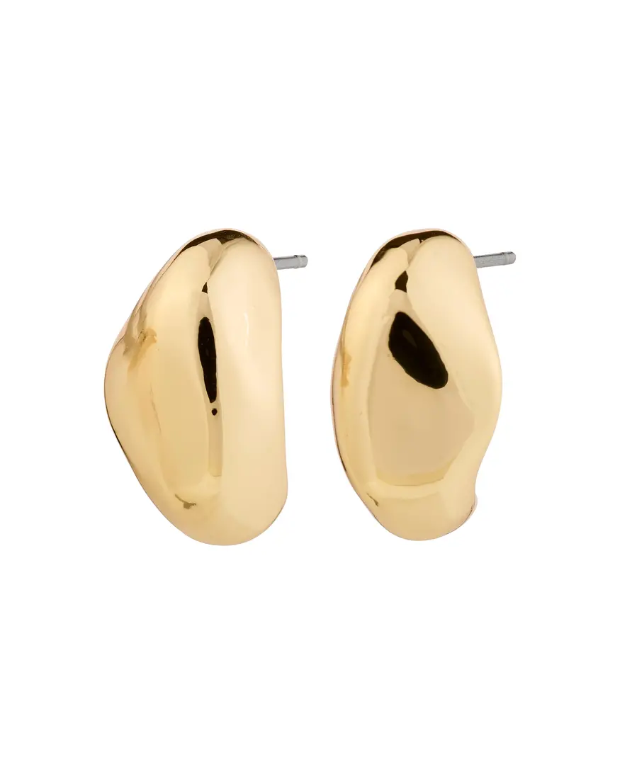 Pilgrim Dune Earrings (2)