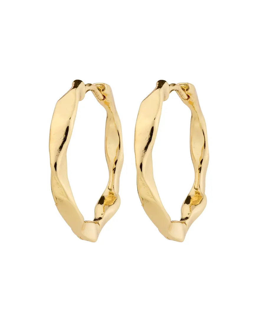 Pilgrim Dawn Earrings