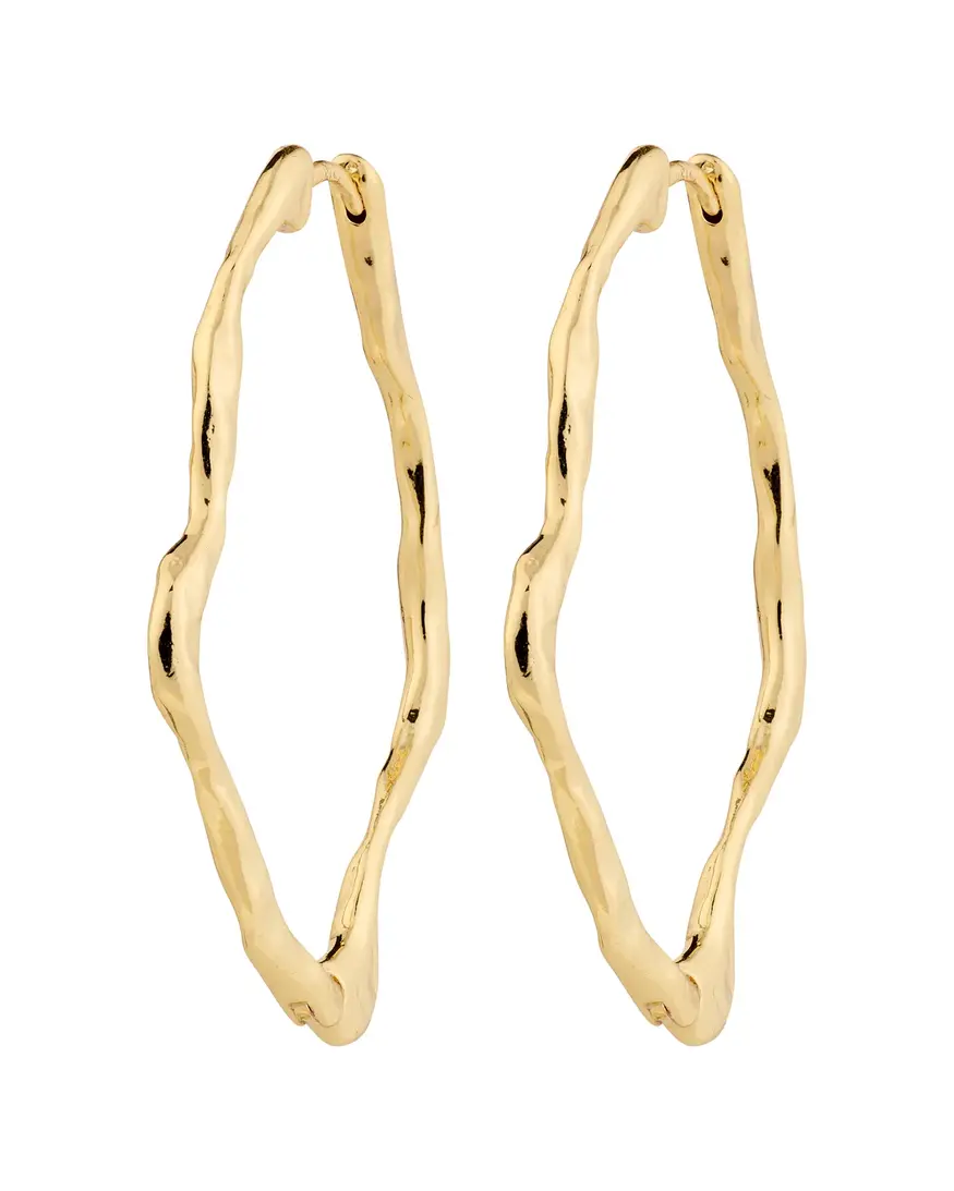 Pilgrim Dylan Earrings