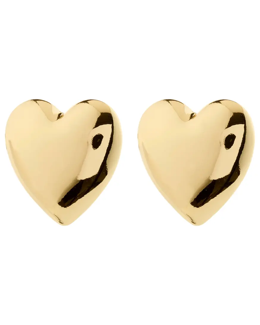 Pilgrim Annemette Earrings