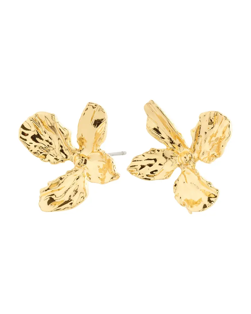 Pilgrim Dream Earrings