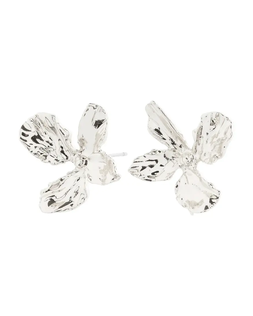 Pilgrim Dream Earrings