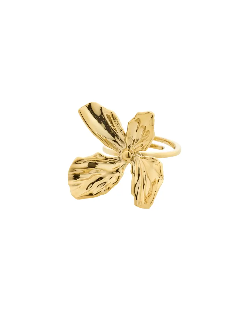 Pilgrim Dream Statement Ring