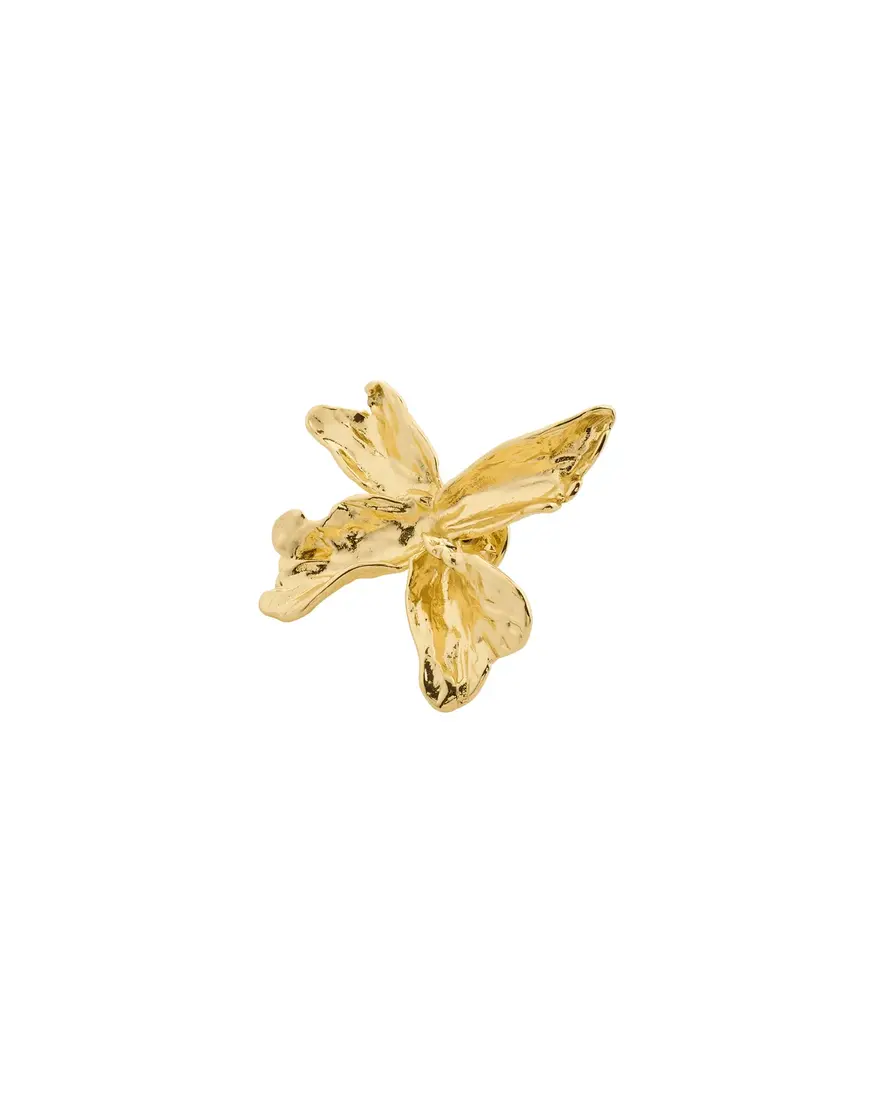 Pilgrim Dream Broche