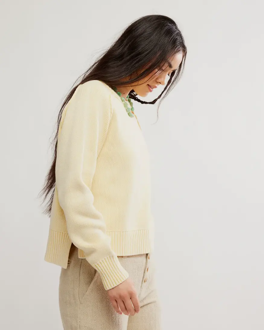 Free People Spring Street Pullover