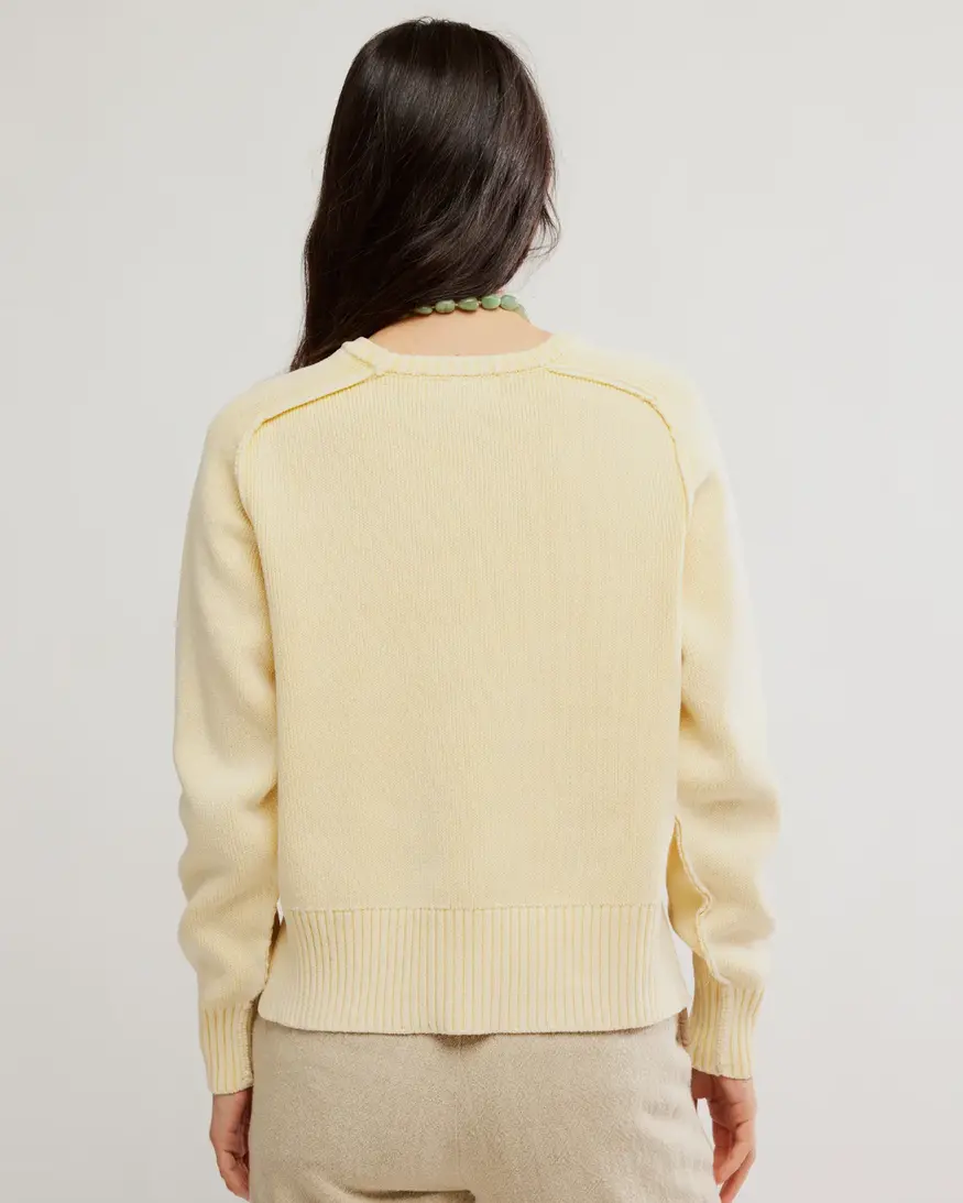 Free People Spring Street Pullover