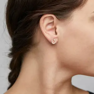 Pilgrim Leanna Good Luck Crystal Stud