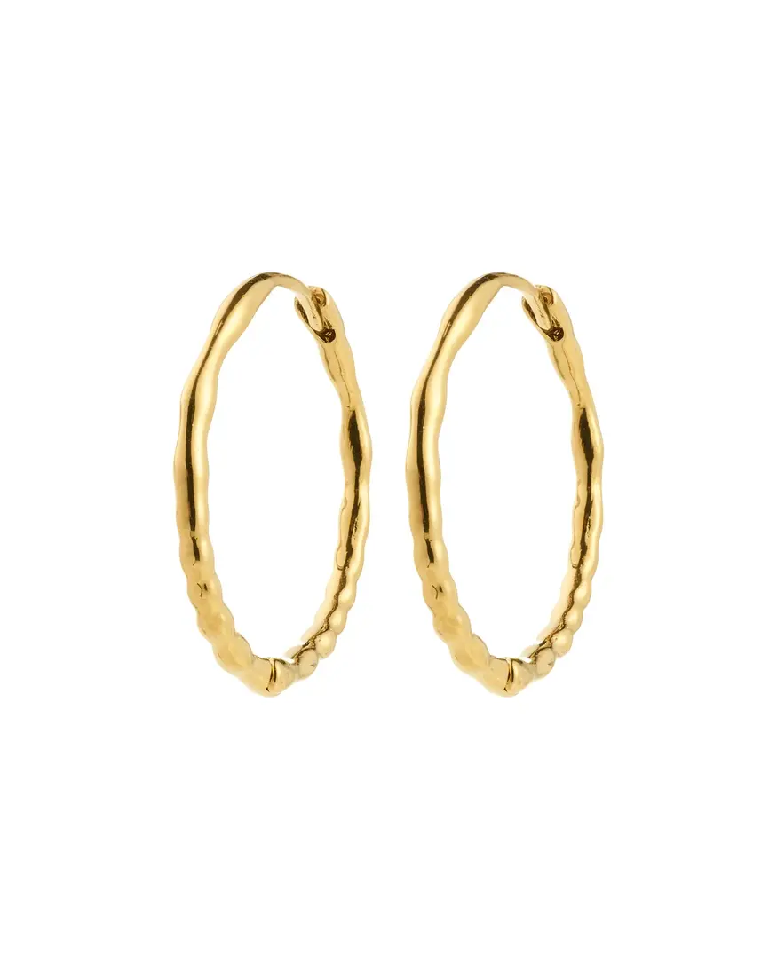 Pilgrim Between Hoops