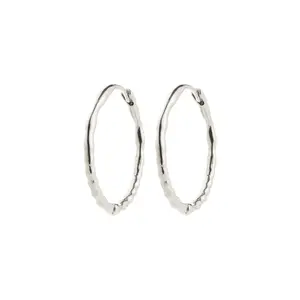 Pilgrim Between Hoops