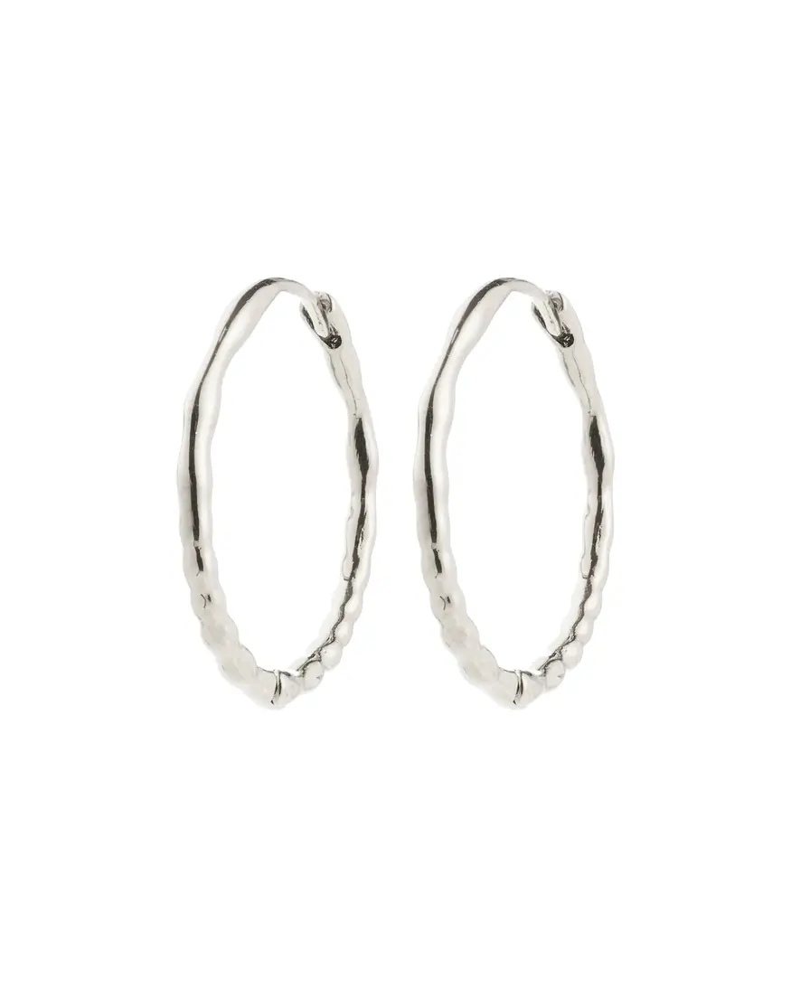 Pilgrim Between Hoops