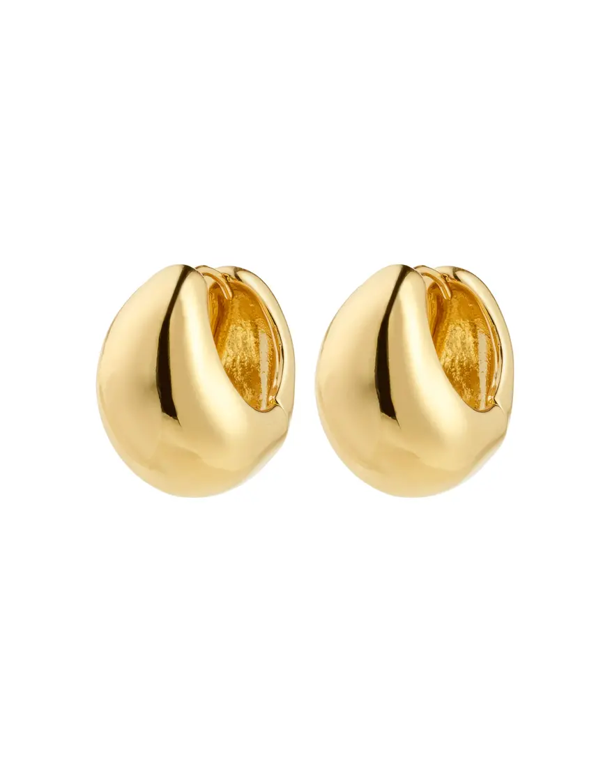 Pilgrim Free Thick Hoop Earrings