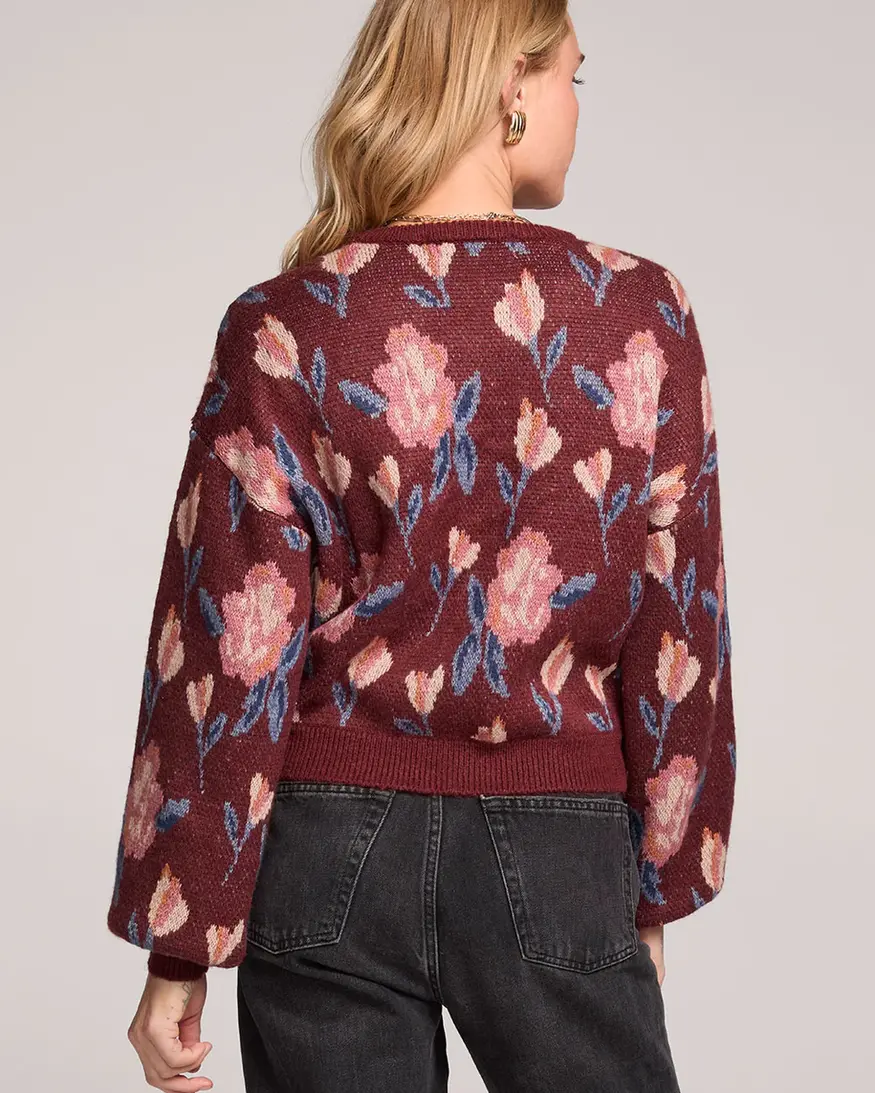 Saltwater Lux Ronnie Sweater