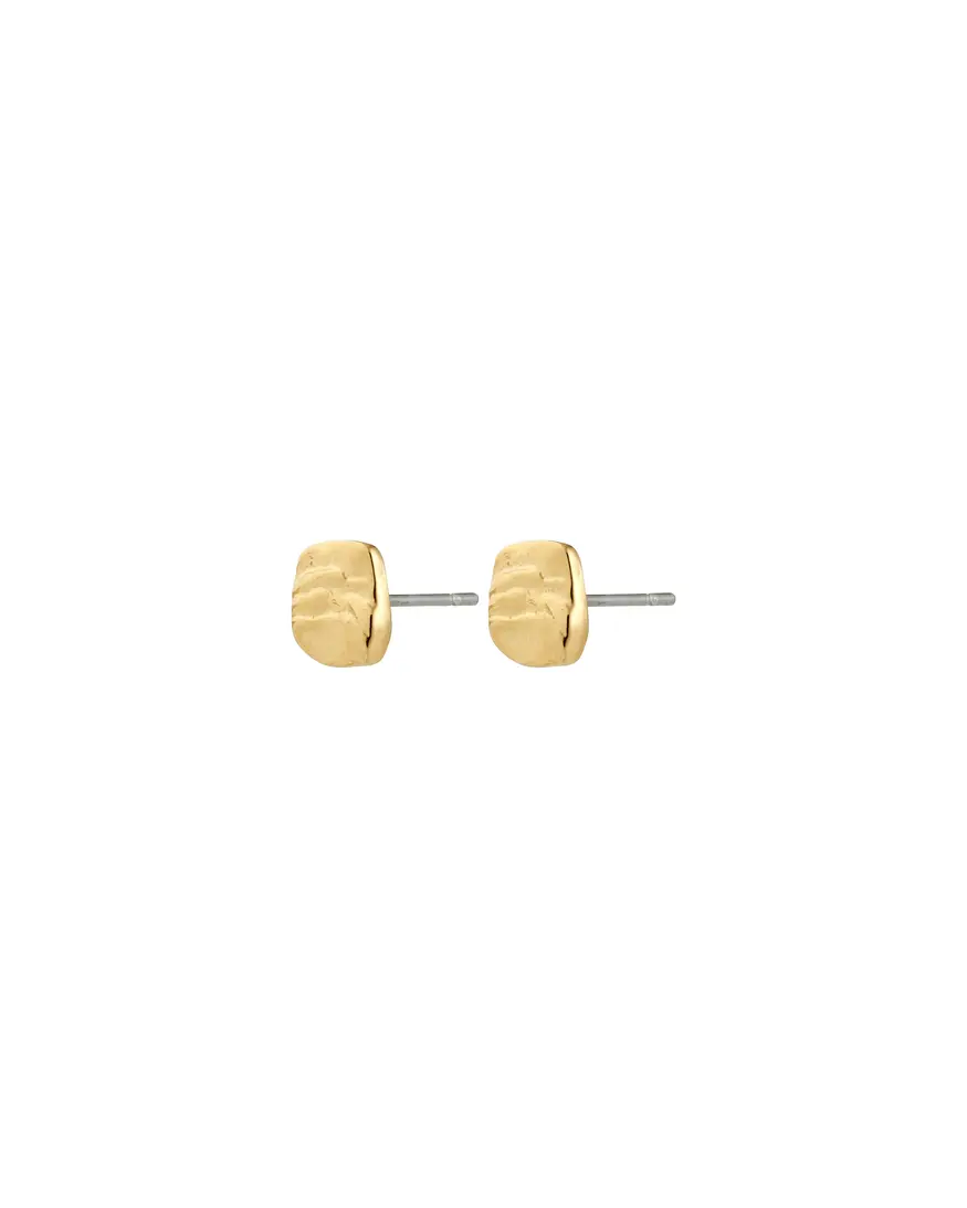 Pilgrim Sense Stud Earrings