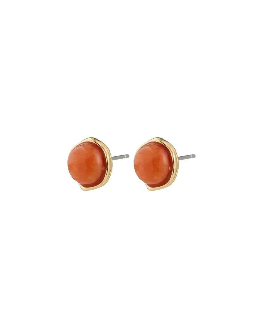 Pilgrim Sense Earrings