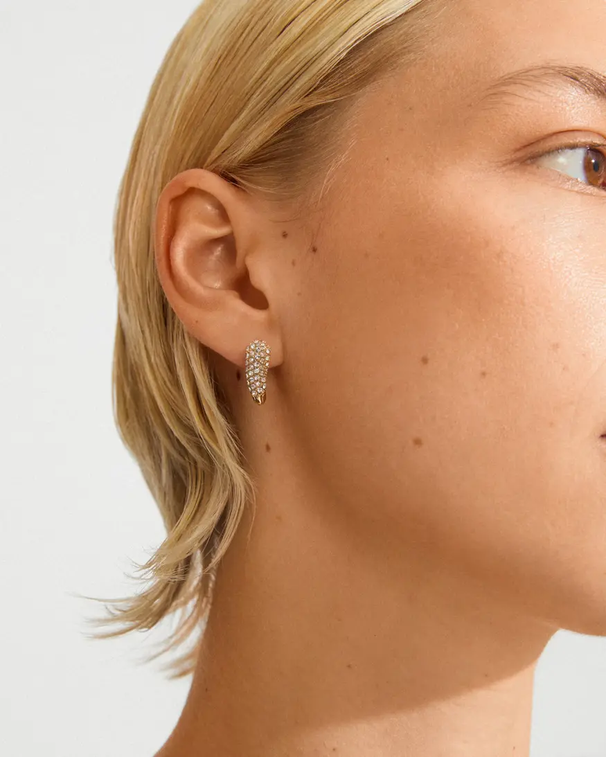 Pilgrim Soul Earrings