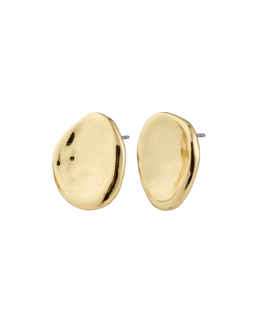 Pilgrim Sparkle Stud Earrings