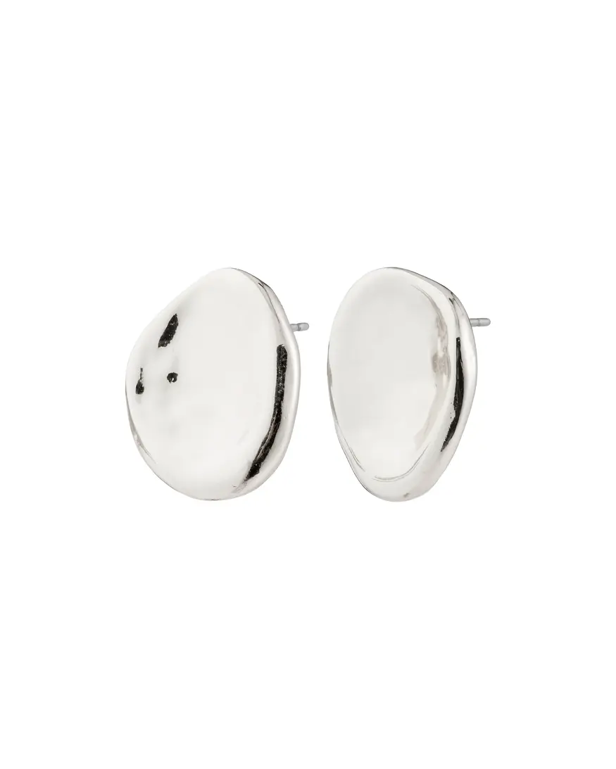 Pilgrim Sparkle Stud Earrings
