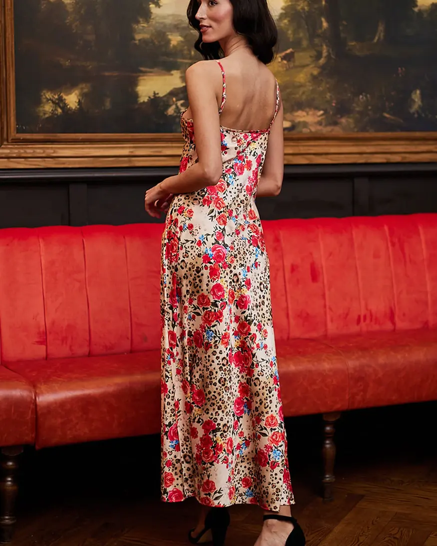 Angel Eye Maidstone Dress