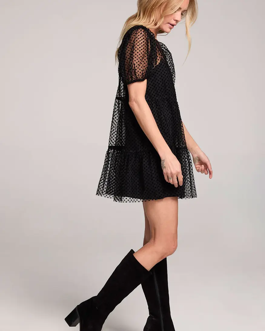 Saltwater Lux Yaz Mini Dress