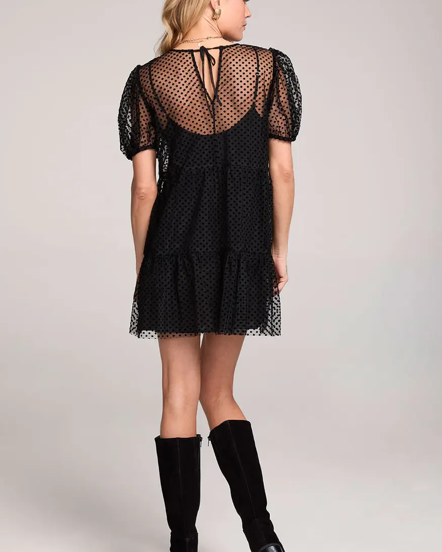 Saltwater Lux Yaz Mini Dress