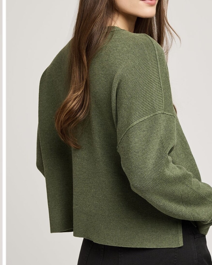 Gentle Fawn Echo Pullover