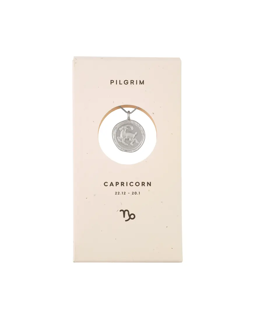 Pilgrim Horoscope Double Sided Necklace