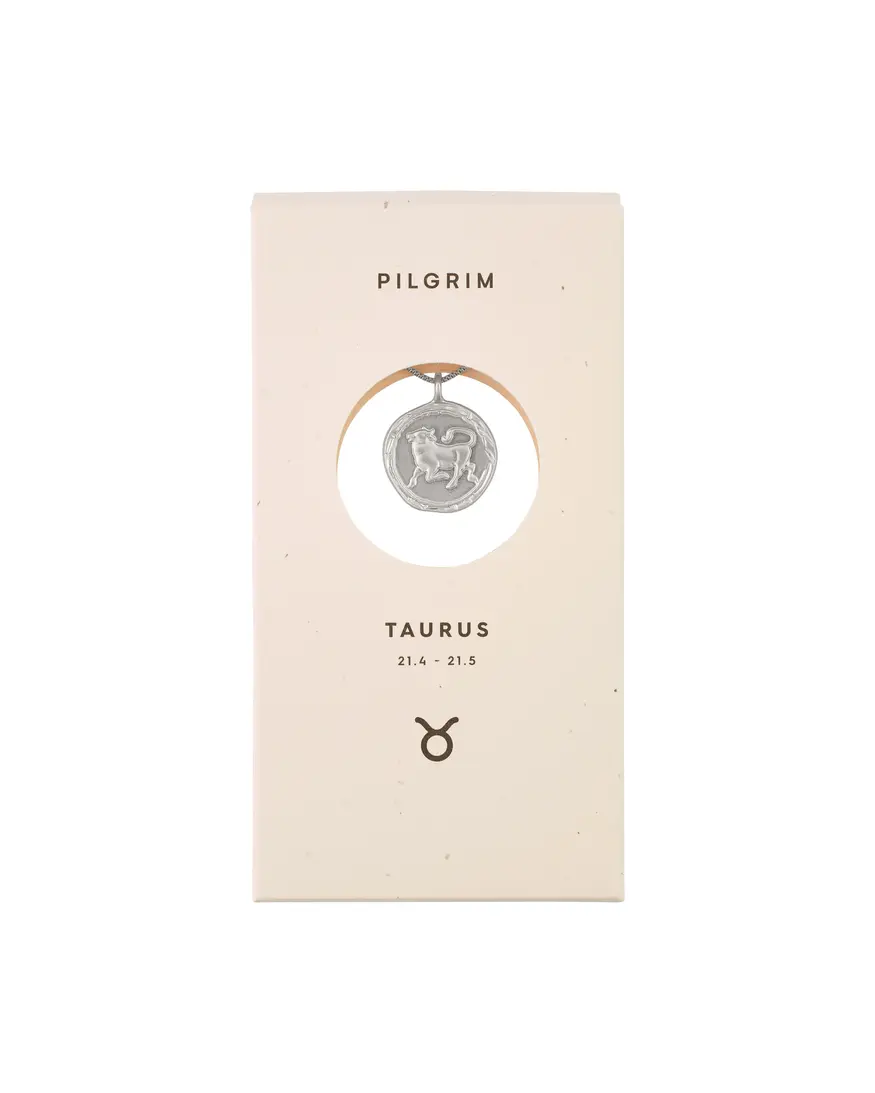 Pilgrim Horoscope Double Sided Necklace