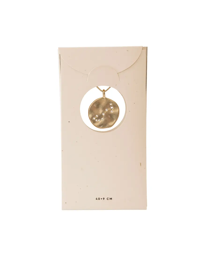 Pilgrim Horoscope Double Sided Necklace