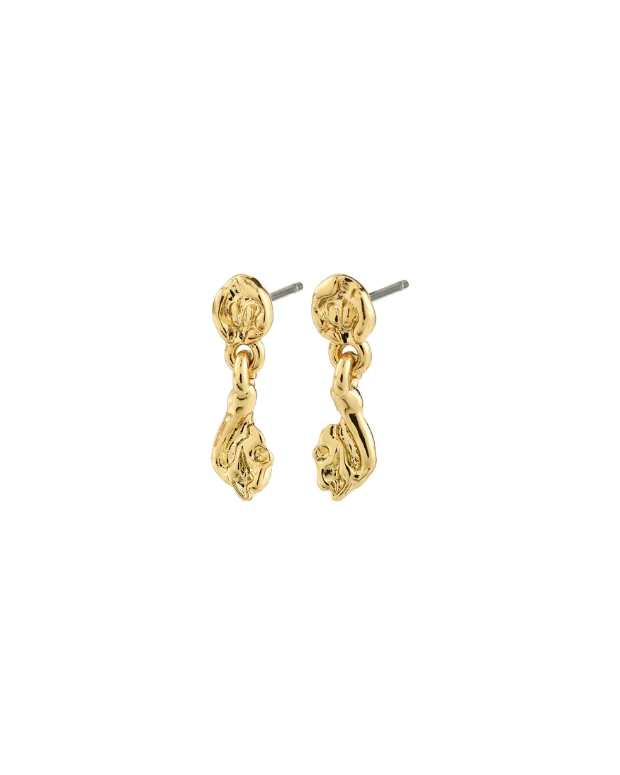 Pilgrim Eliyah Earrings