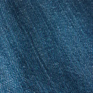 Z-Supply Angel Eyes Denim Mini