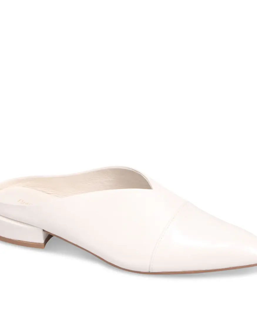 Django & Juliette Eppin Slide