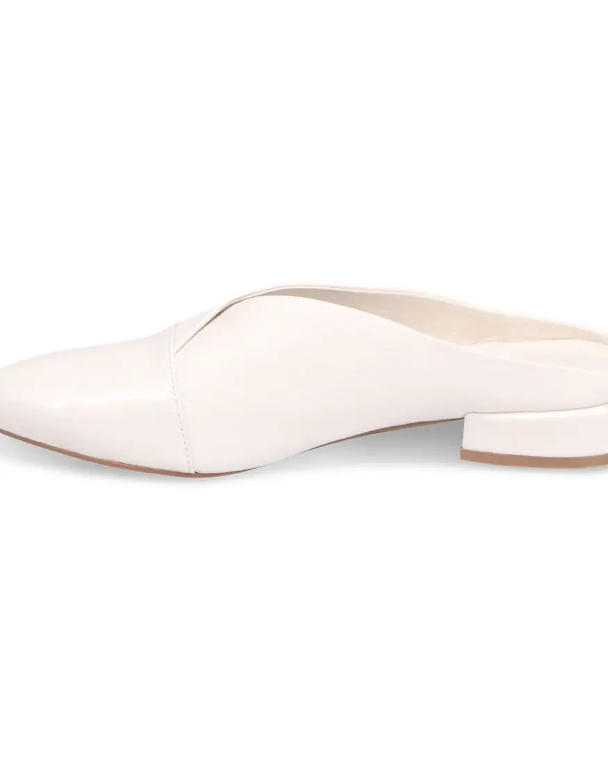 Django & Juliette Eppin Slide